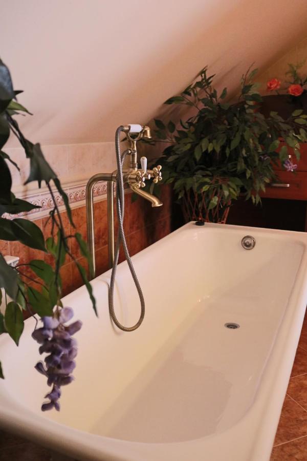 Grand Panorama Bed & Breakfast Wisniowa  Exterior photo